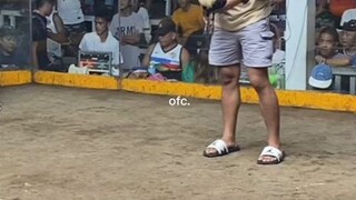 ano nagpapasaya sayo sympre mag mahal ng Manok na Panabong ♥️♥️