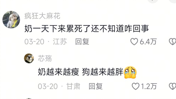 My sense of humor is fiercely battling my filial piety!