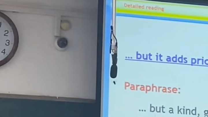 Bee: An English class? Well, I’ll just give you a quick beebee or two.