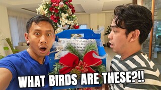 Someone Sent Us Birds For Christmas | Vlog #1693