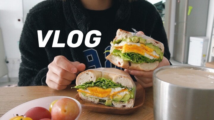 Dory | A Week of 40-Minute Cardio Every Day: Train Hard, Eat Right | My Solo Everyday Life — Working