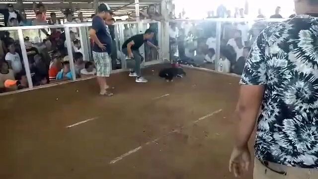 fastest kill fight no 2