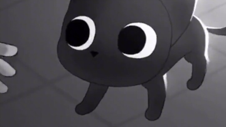 Little kitty~ She looks so kind!