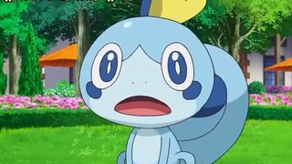Pokémon Pokémon TV and theatrical versions correct viewing order and introduction!! #Pokémon #Pocket