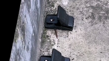 Rats, I hit the jackpot!