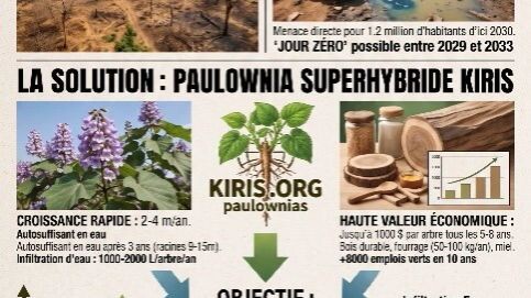 Abomey Calavi, une ville clé du Bénin en Afrique de l’Ouest #kiris.org #526143022511