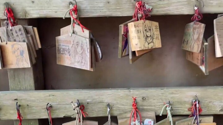[Pilgrimage] -Yosugano- Arrival at the highest castle: Kabazaki Hachimangu Shrine