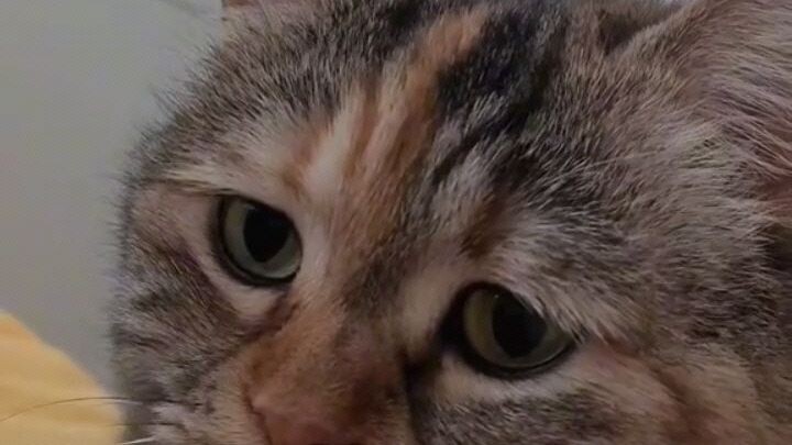 nakakaiyak😭😭😭 kayat ko te kastoy