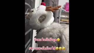 น้อนนนน นุดทำไรกู๊วววว😂😂