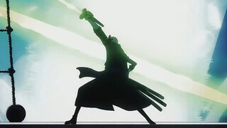 Zoro chắc chắn là thuyền phó của băng Mũ Rơm, luôn nhắc nhở Luffy mọi lúc mọi nơi