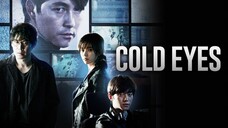 Cold Eyes 2013