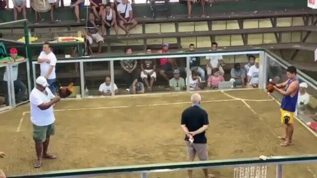 1hit delete