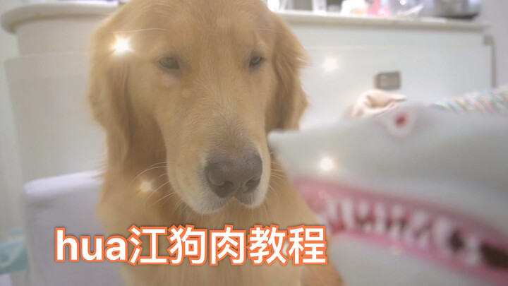 本来高高兴兴做好的狗肉，被抢走了！