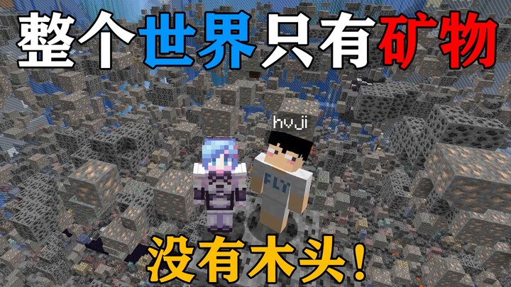 The entire MC world is just minerals! No wood! No stone! How can you survive? Minecraft Minecraft