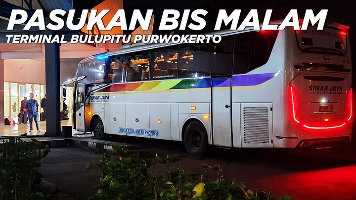 ADA BUS SLEEPER DI TERMINAL PURWOKERTO ⁉️ Pasukan Bus Malam di Terminal Bulupitu