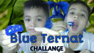 Kmjs, Eat Blue ternat, challange