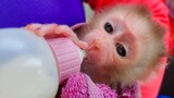 Smart & Improvement!! Wow, Unbelievable tiny adorable Luca can drink milk by bottle very well.