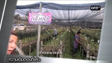 สงครามนางงาม ตอนที่37(จบ)