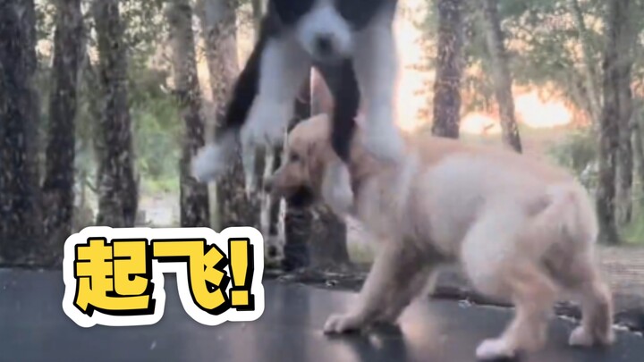 “再见了麻麻今晚我就要远航”