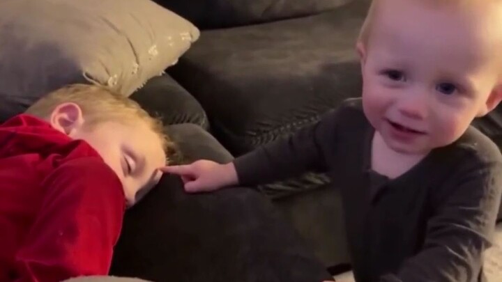 Cuộc sống thường ngày của anh em: Không phải đang đánh nhau thì cũng đang trên đường đi đánh nhau!