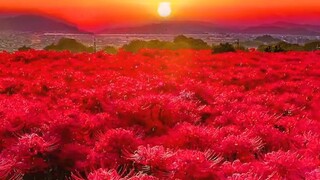 🌄❤️💗