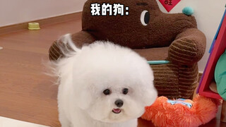 Puppy: Out of sight, out of mind.