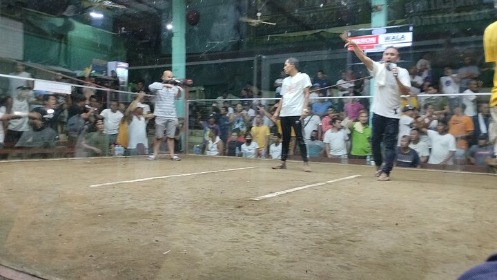 hindang 4 cocks derby last fight win champion