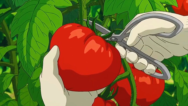 studio ghibli paling healing