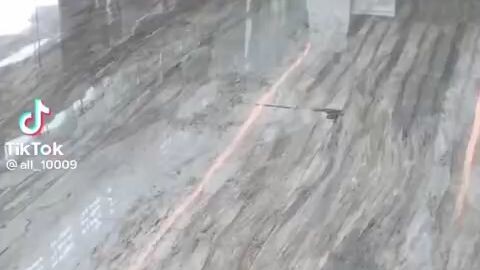 Pov: when u dog crying after....