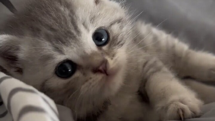 مُلتصِق جدًا!