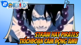 Straw Hat Pirates 
Tríchđoạn cảm động AMV_2