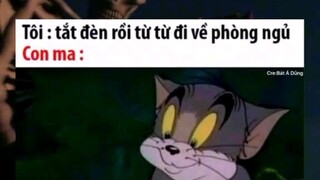 Nó lớn thật rồi😔