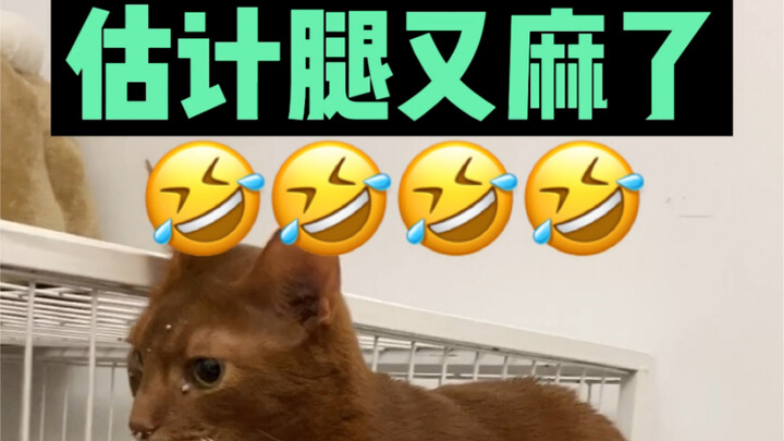 Let me ask you: Are you all convinced?