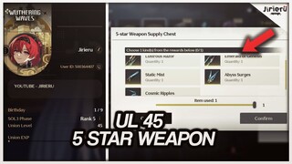 FIRST EVER UNION LEVEL 45! 5 STAR WEAPON SELECTOR! WHAT TO CHOOSE! | Wuthering Waves Guide