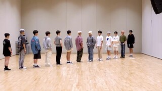 SEVENTEEN - '_WORLD 'DANCE PRACTICE MIRRORED [4k]