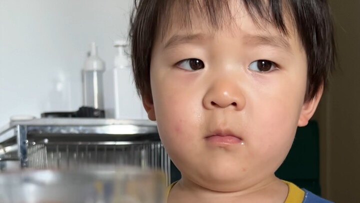 "Chương trình phát sóng Little Potato"