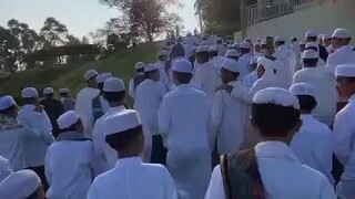 ms video