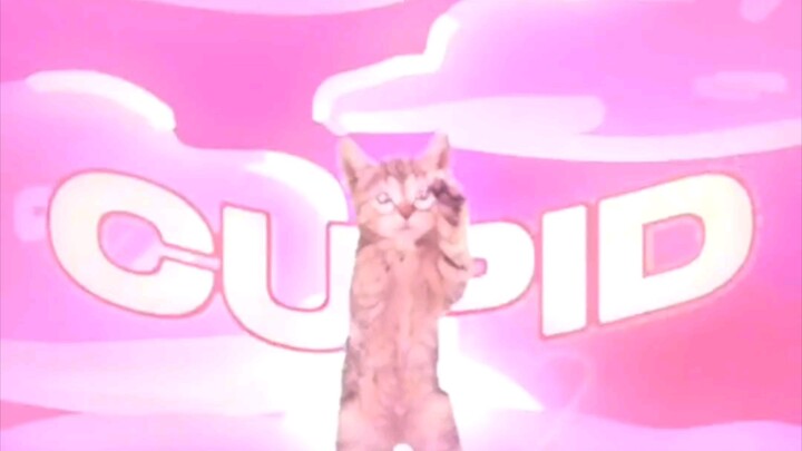 Little Silly Cat Searches for Cupid