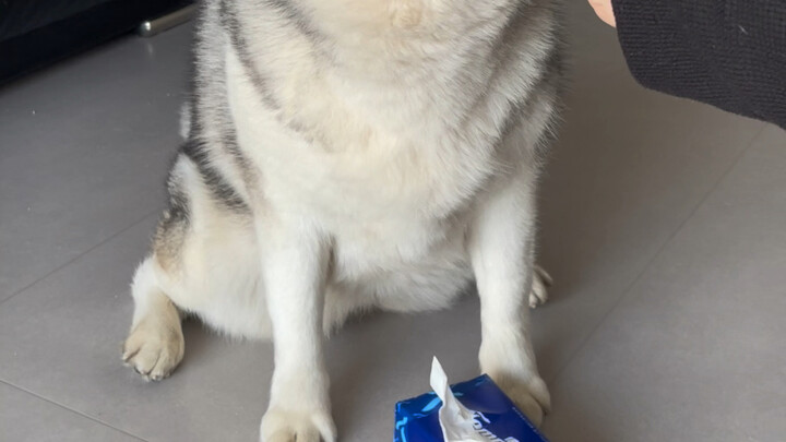 Đây chẳng phải là một thử thách đơn giản đã thành công sao?