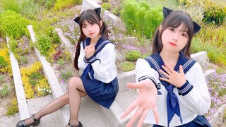 童话里的星光总被梦点亮 【聚光】2023BDF主题曲
