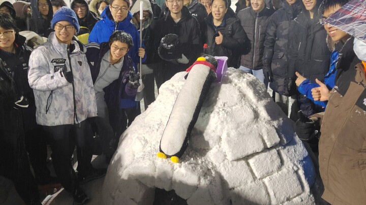 شاهد المعجزة! لحظة إغلاق سقف كوخ الثلج في جامعة تسينغهوا