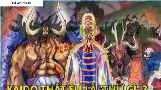 Kaido thật sự là thứ gì  Giải đáp những bí mật về Sinh vật mạnh nhất 1