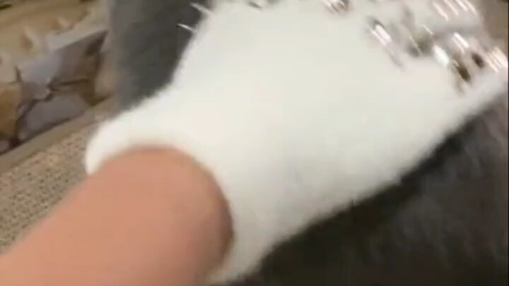 You can literally see them getting more and more upset.