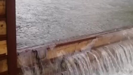 Who designed the drainage system? Pull it out and kill it.