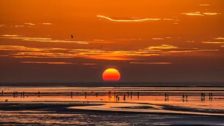 Araw araw || Ben&Ben I long for endless horizons #Foryourpage #Bimztheonechannel #Shorts