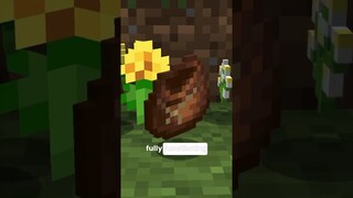 minecraft bundles delayed again…
