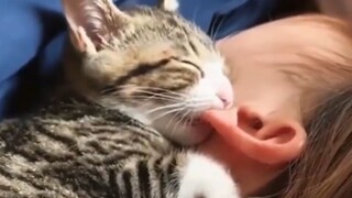 "Jika kamu tidak tahan lagi, aku sarankan kamu melihat ini!"