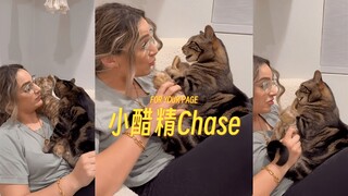 Dạy Chase hay bám dính cách chia sẻ tình yêu❤️