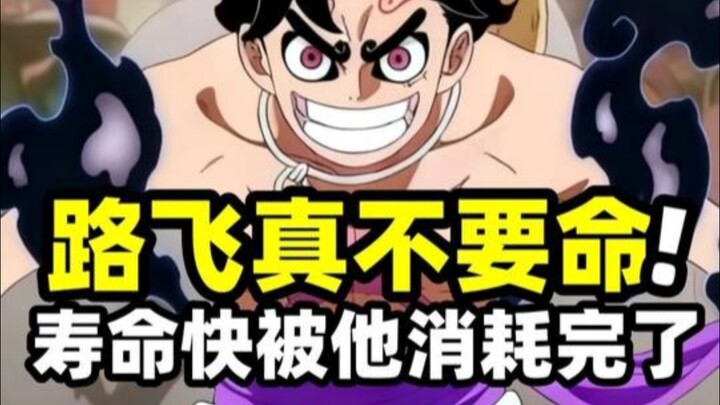 Luffy giờ thật sự bất chấp mạng sống! Một ngày biến hình thành Nika liên tục 5 lần, tuổi thọ sắp cạn