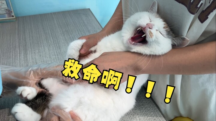 Although the child is nine years old, they’re still really afraid of going to the hospital, haha.